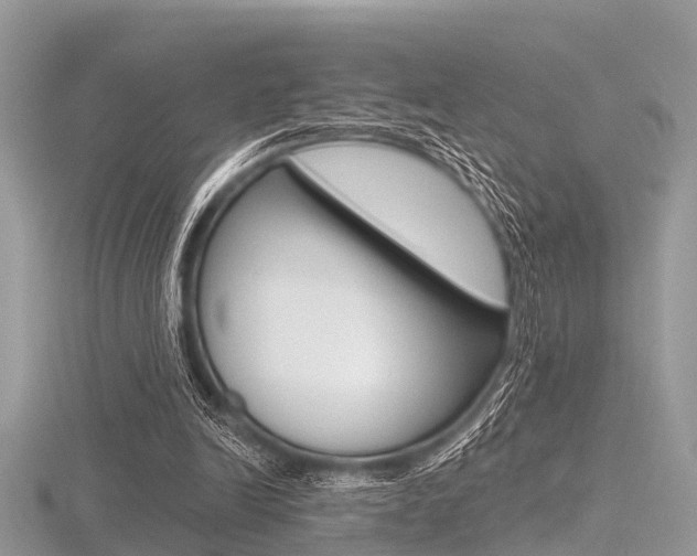 X0000116610246200912111007