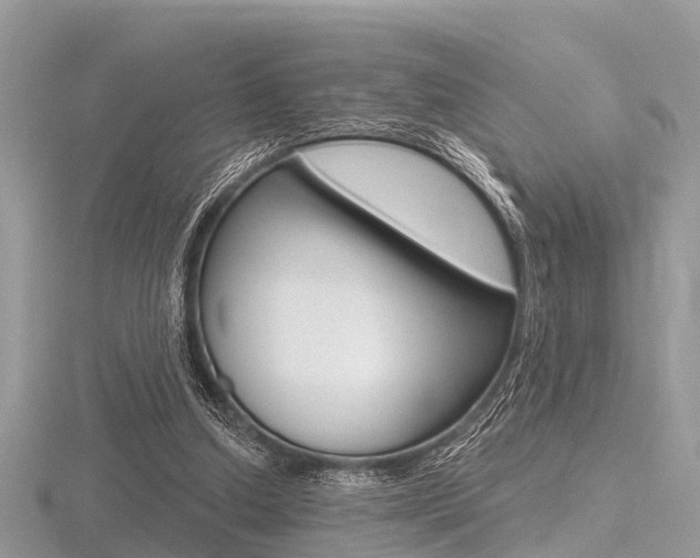 X0000116610250200912111007