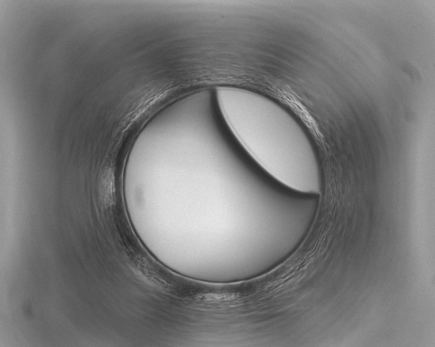 X0000116610251200912111007