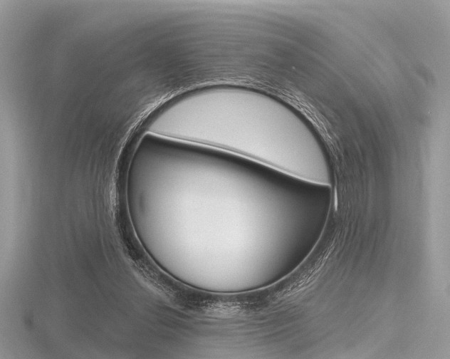 X0000116610252200912111007