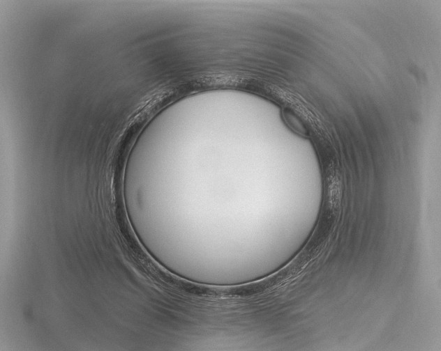 X0000116610254200912111007