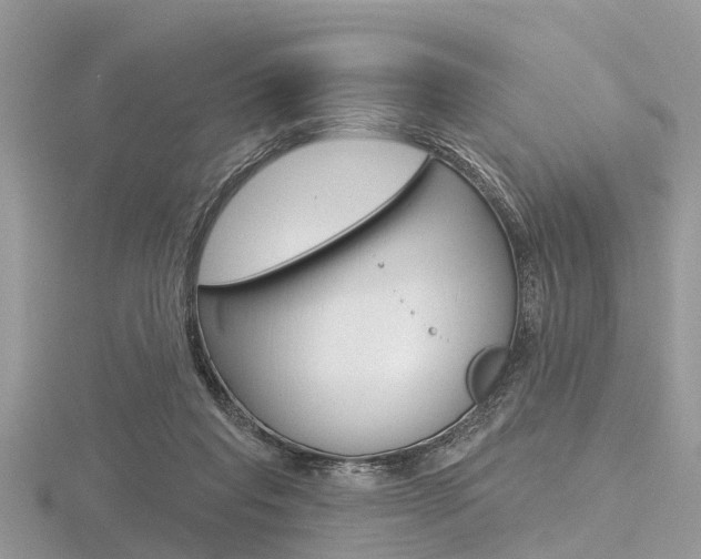 X0000116610261200912111007