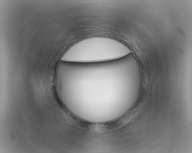 X0000116610273200912111007