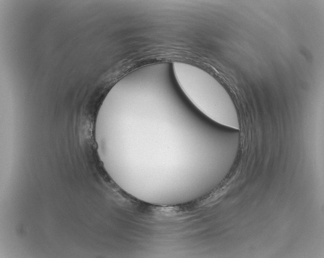 X0000116610281200912111007