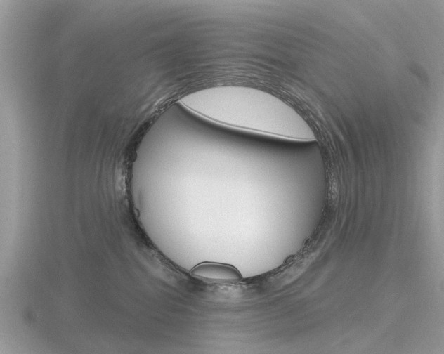 X0000116610282200912111007