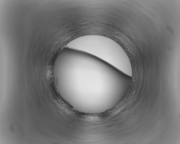 X0000116610284200912111007