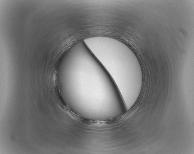 X0000116610288200912111007