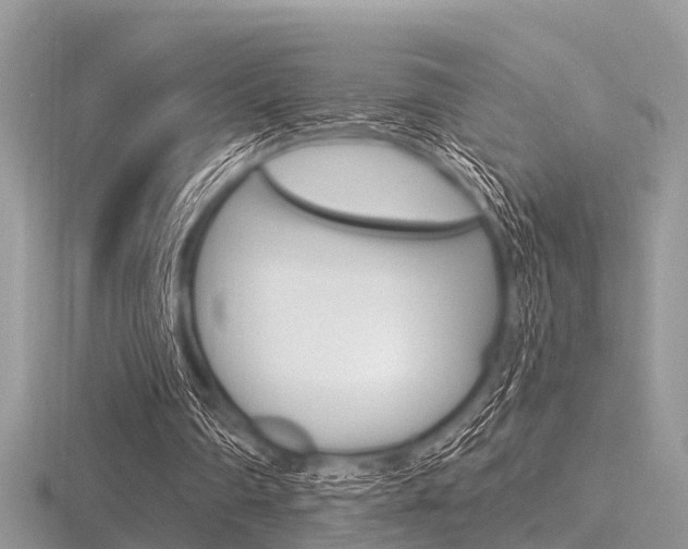 X0000116610290200912111007