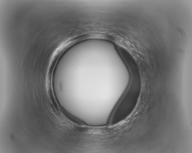X0000116610294200912111007