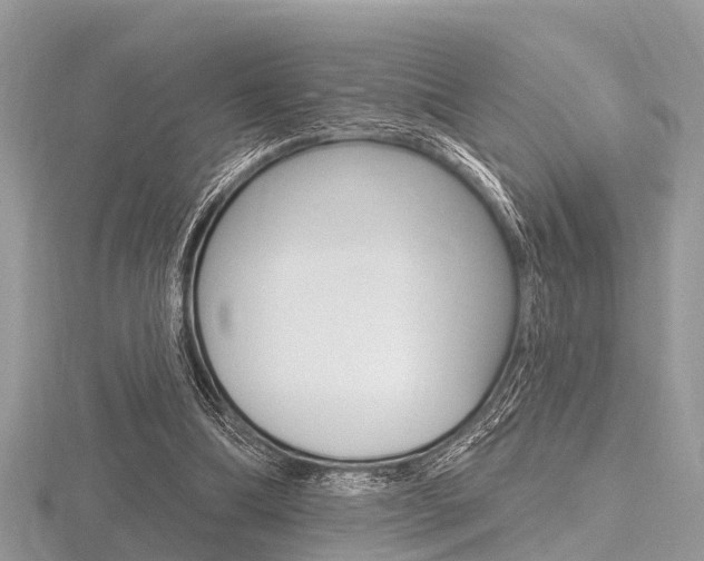 X0000116610298200912111007