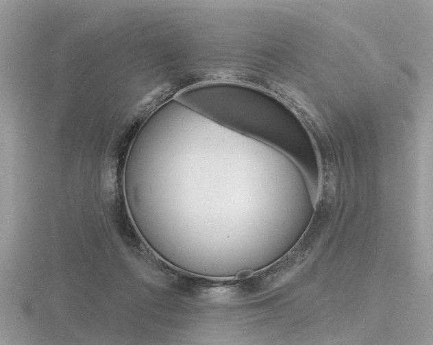 X0000116610312200912111006