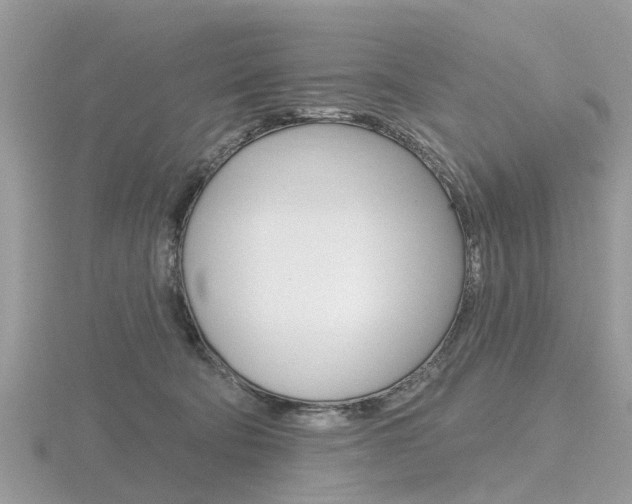X0000116610322200912111006