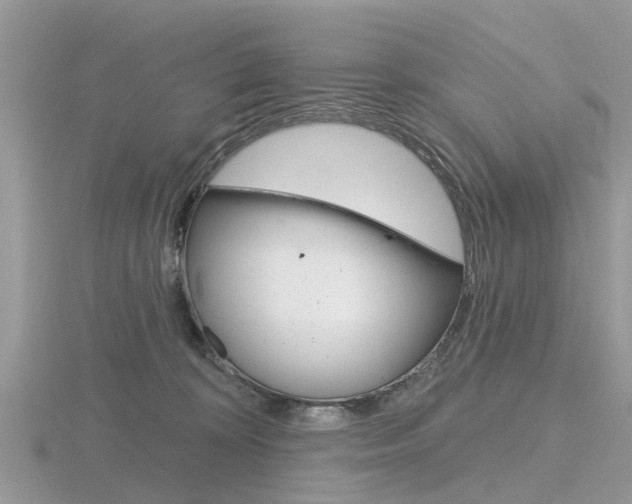 X0000116610324200912111006