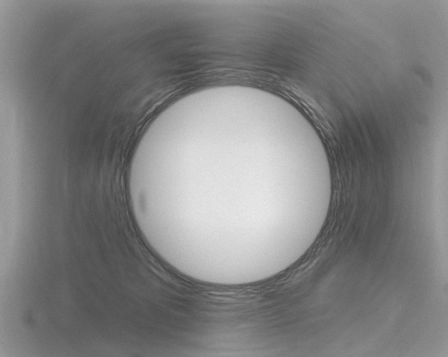 X0000116610325200912111006