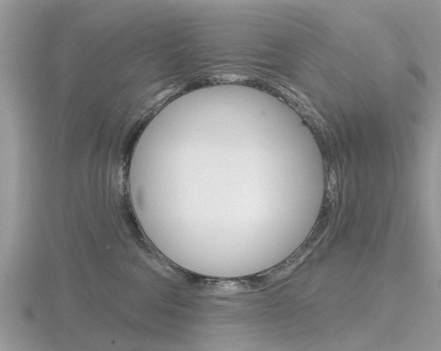 X0000116610330200912111006
