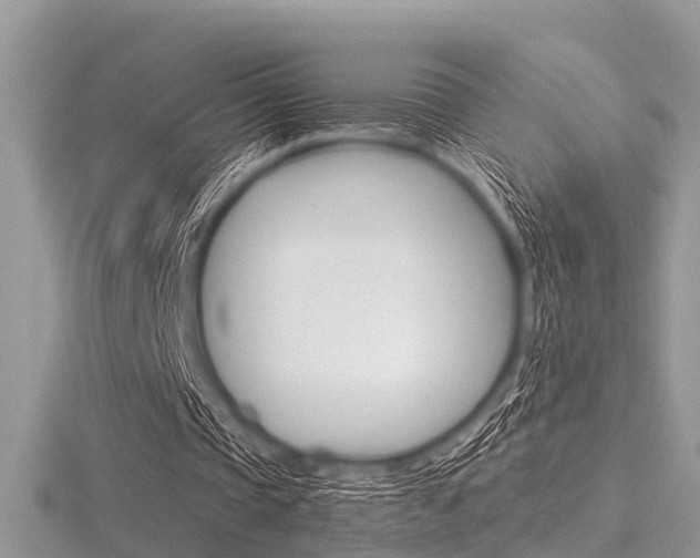 X0000116610337200912111005