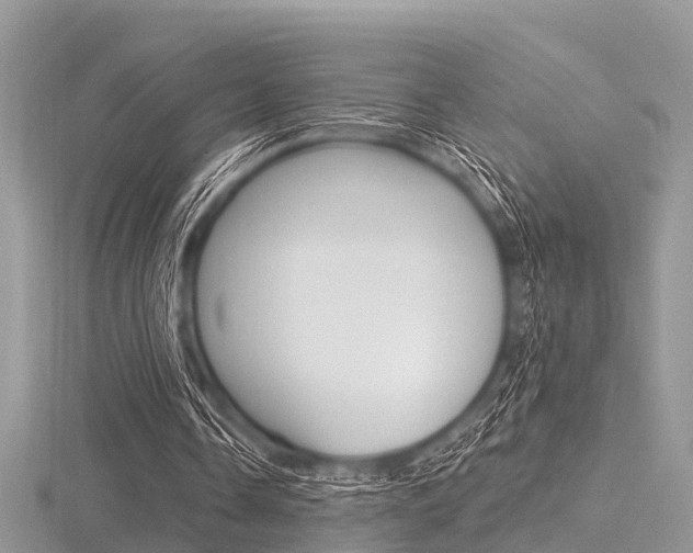 X0000116610338200912111005