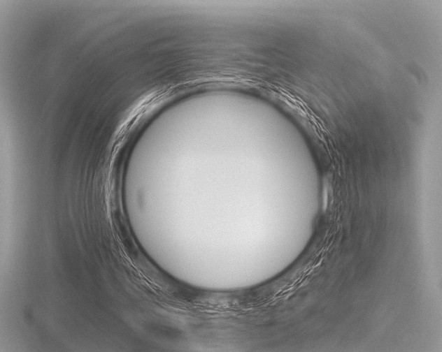 X0000116610339200912111005