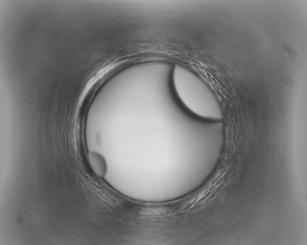X0000116610342200912111005