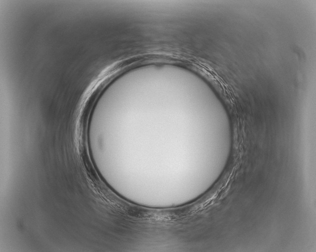 X0000116610343200912111005