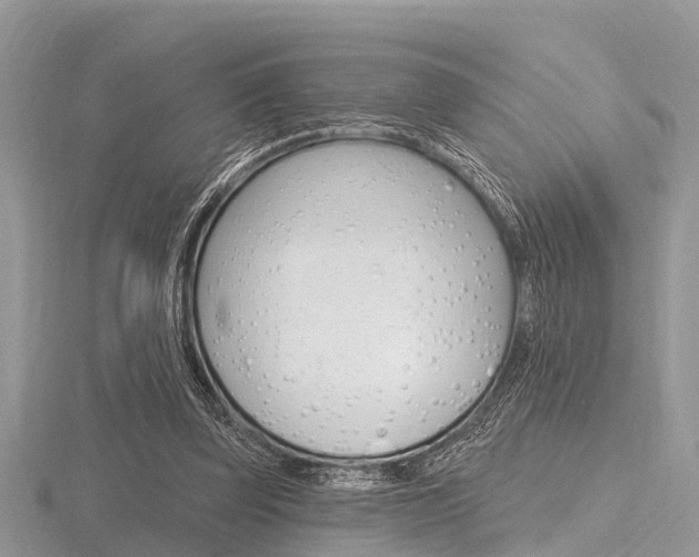 X0000116610347200912111005