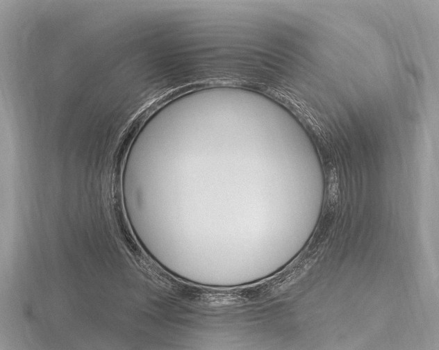 X0000116610351200912111005