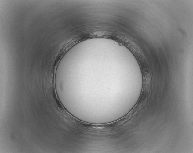 X0000116610361200912111006