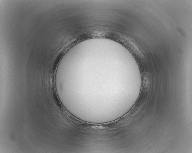 X0000116610363200912111006