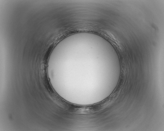 X0000116610366200912111006