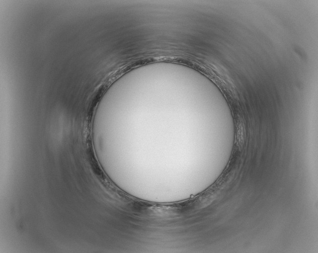 X0000116610367200912111006