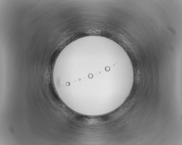 X0000116610370200912111006