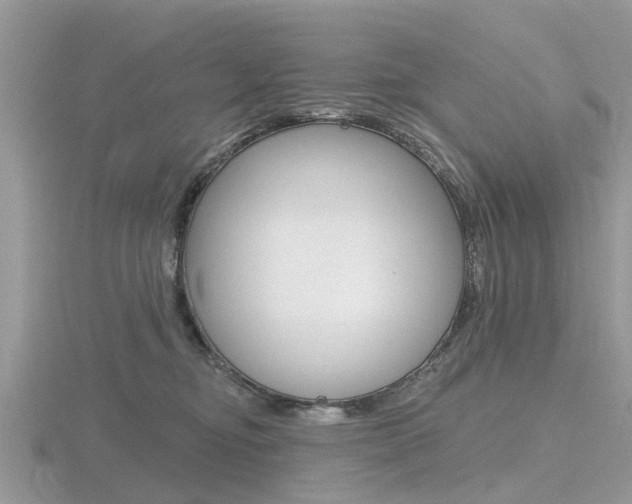 X0000116610374200912111006