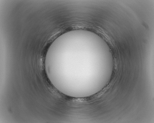 X0000116610378200912111006