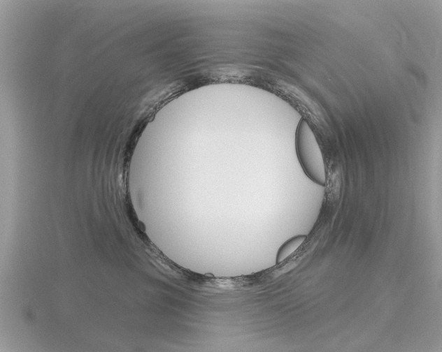 X0000116610381200912111006