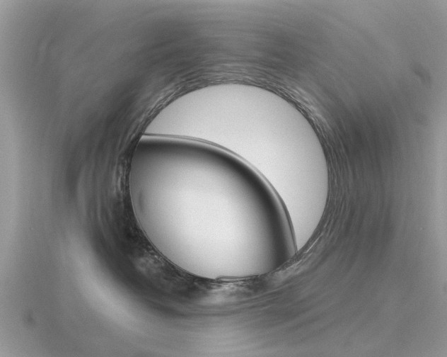 X0000116610382200912111006