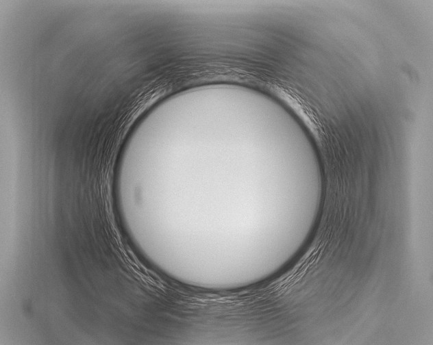 X0000116610386200912111005