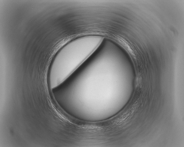 X0000116610389200912111005
