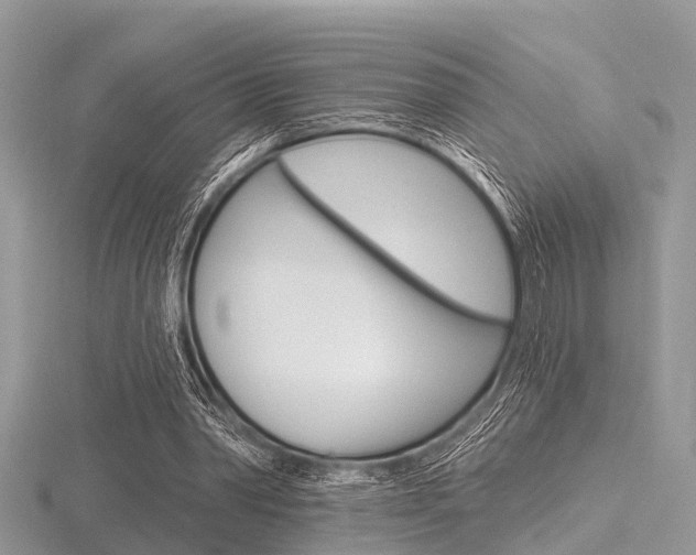 X0000116610390200912111005