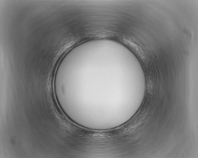 X0000116610394200912111005