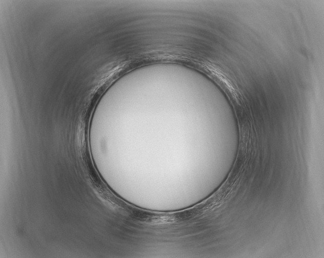 X0000116610398200912111005