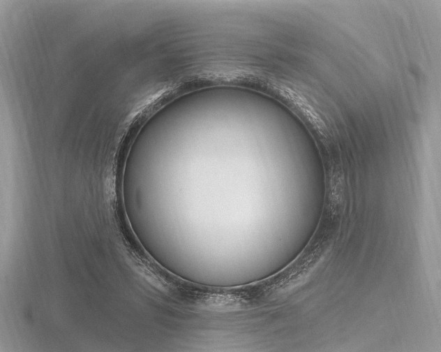 X0000116610399200912111005