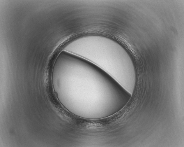 X0000116610400200912111005