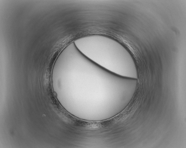 X0000116610402200912111005