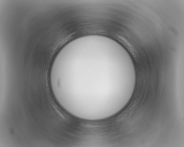 X0000116610405200912111005