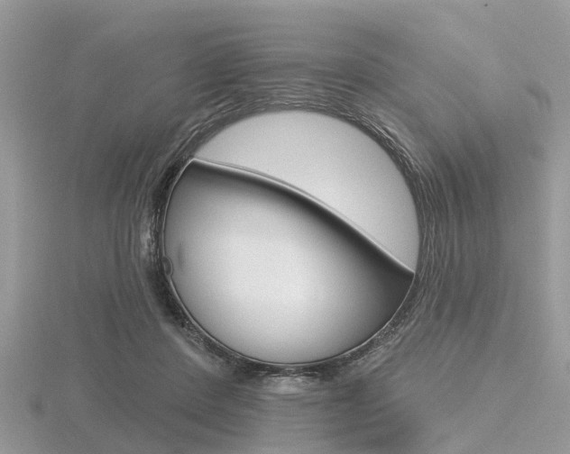 X0000116610408200912111005