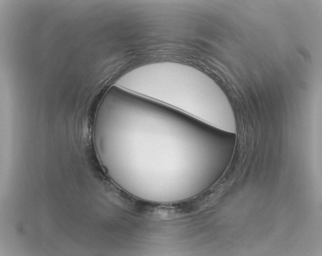 X0000116610420200912111005