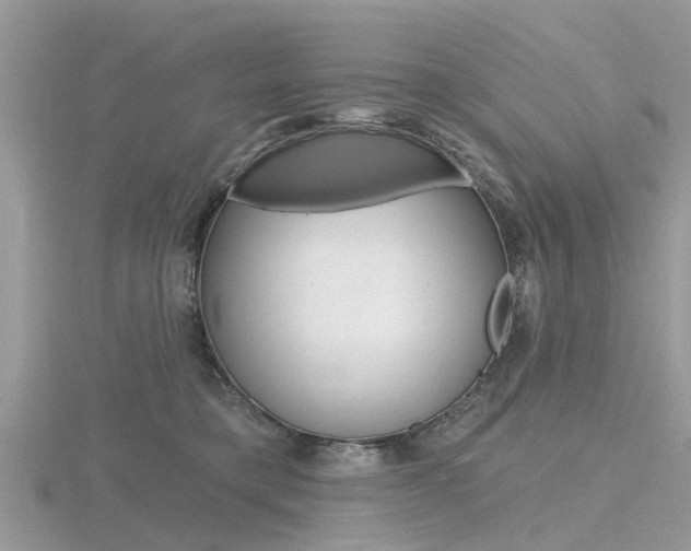 X0000116610421200912111005