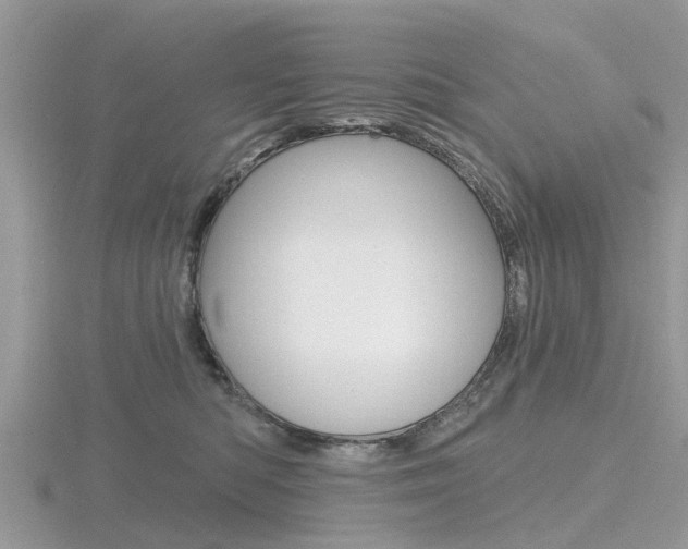 X0000116610422200912111005