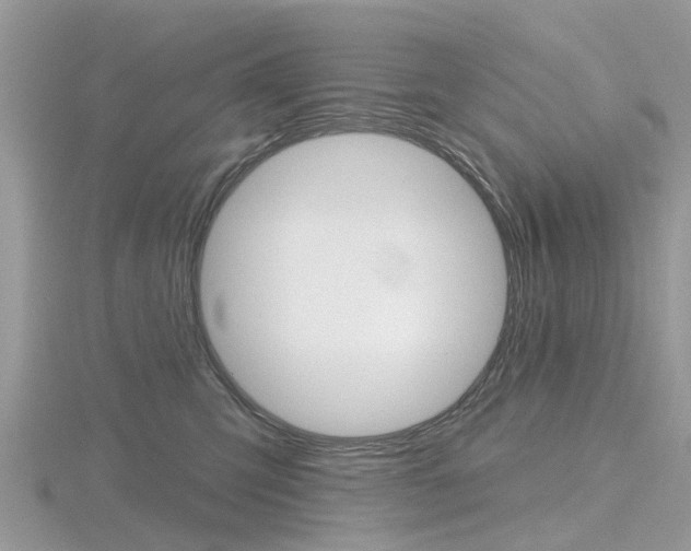 X0000116610423200912111005