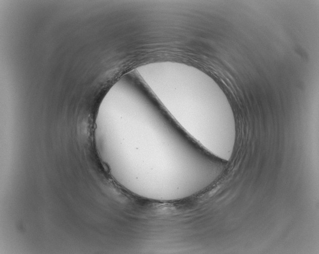 X0000116610424200912111005